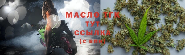 крисы Няндома
