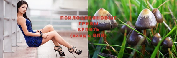МДПВ Абдулино
