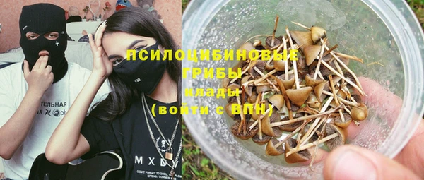 крисы Няндома